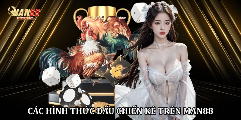 Các hình thức đấu chiến kê trên Man88