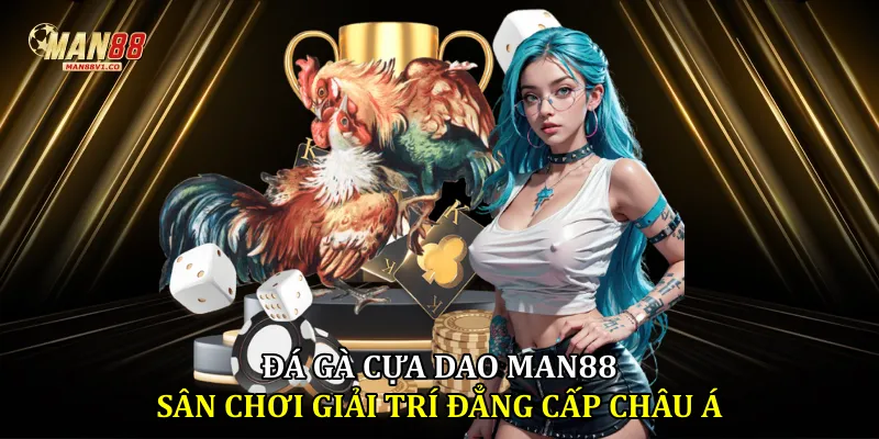 Đá gà cựa dao