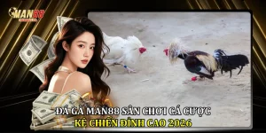 Đá gà Man88