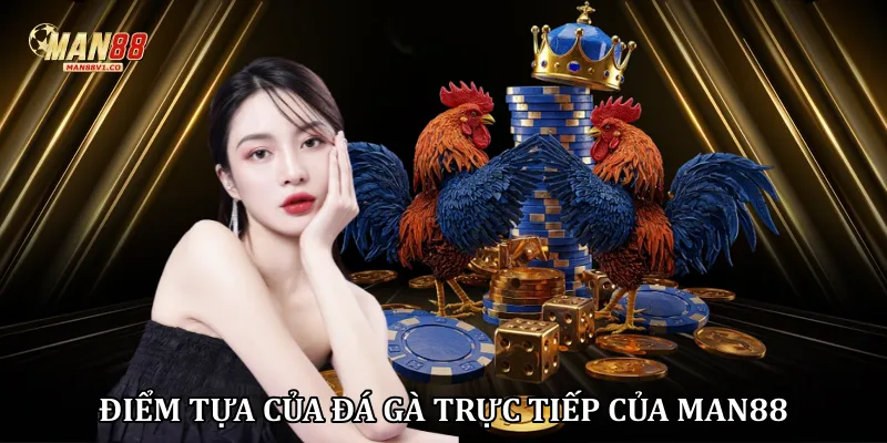 Điểm tựa của đá gà trực tiếp của Man88