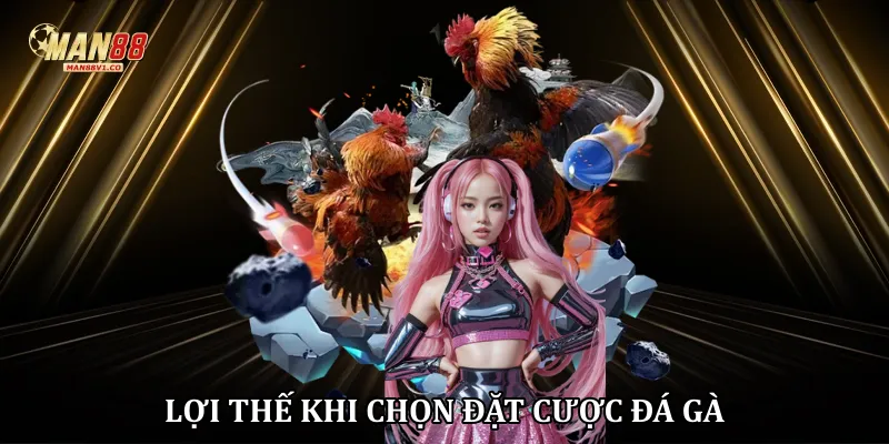 Lợi thế khi chọn đặt cược đá gà