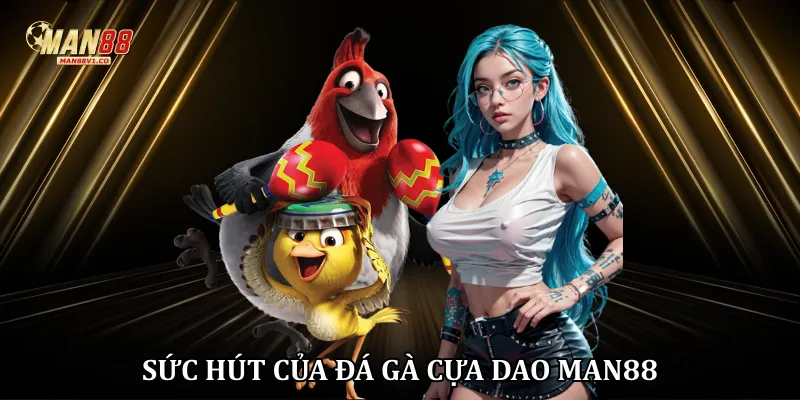 Sức hút của đá gà cựa dao Man88